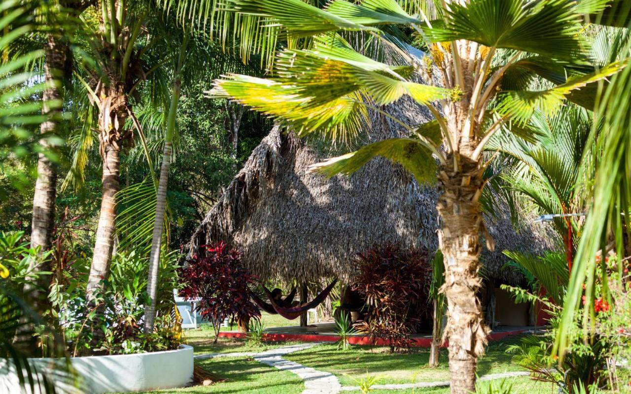 El Ranchito Surfcamp Hotel Pedregal Eksteriør billede